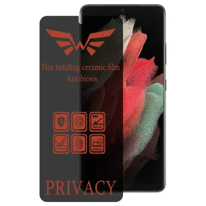 محافظ صفحه نمایش حریم شخصی اپیکوی مدل Nano-Privacy مناسب برای گوشی موبایل سامسونگ Galaxy S21 Ultra