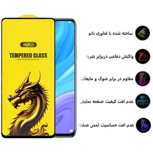 محافظ صفحه نمایش اپیکوی مدل Golden Dragon مناسب برای گوشی موبایل هوآوی  Y9s