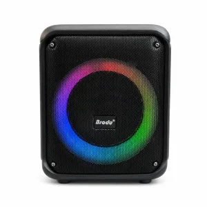 اسپیکر بلوتوثی برودو مدل BTS-2339