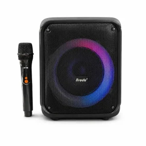اسپیکر بلوتوثی برودو مدل BTS-2339