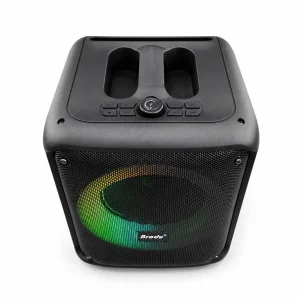 اسپیکر بلوتوثی برودو مدل BTS-2339