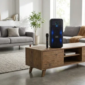 اسپیکر بلوتوثی قابل حمل برودو مدل BTS-2245