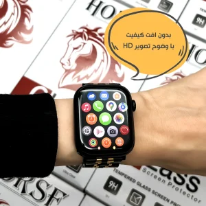 محافظ صفحه نمایش هورس مدل PMMAWH مناسب برای ساعت هوشمند آمازفیت Bip