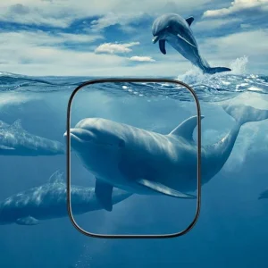 محافظ صفحه نمایش راینو مدل PMMA مناسب برای ساعت هوشمند شیائومی Redmi Watch 4 بسته 2 عددی