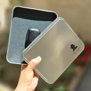 کاور صنایع چرم پیری مدل PL00 مناسب برای کیس اپل AirPods Pro 2 به همراه آویز