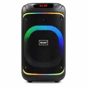 اسپیکر بلوتوثی قابل حمل برودو مدل BTS-2283