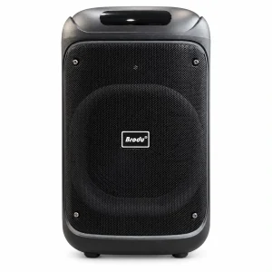 اسپیکر بلوتوثی قابل حمل برودو مدل BTS-2283
