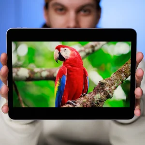 تبلت 13 اینچ اپل مدل iPad Air 2026 M4 Wi-Fi ظرفیت 1 ترابایت و رم 12 گیگابایت، رزولوشن دوربین اصلی ۱۲ مگاپیکسل، پشتیبانی از قلم و کیبورد
