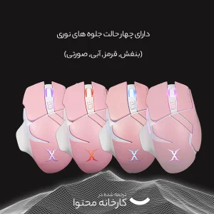 ماوس مخصوص بازی فاکس ری مدل FXR-SM-69
