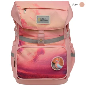 کوله پشتی نشنال جئوگرافیک مدل N25300 ESSENTIAL