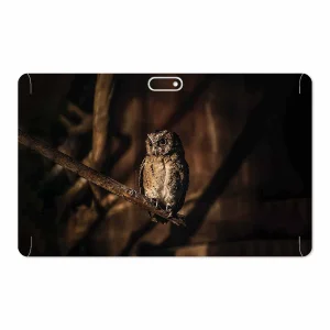 برچسب پوششی ماهوت مدل Owl مناسب برای تبلت جی ال ایکس W11 Plus