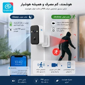 دوربین مداربسته تحت شبکه  اوکم مدل P6