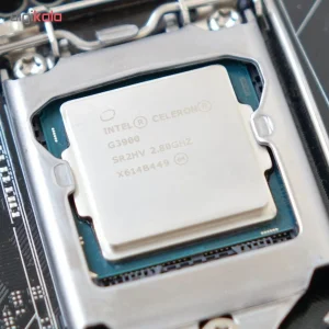 پردازنده مرکزی اینتل سری Skylake مدل Celeron G3900 Tray