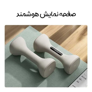 دمبل چند ضلعی وزن 2 کیلوگرم میجیا مدل MJYL01YM بسته 2 عددی