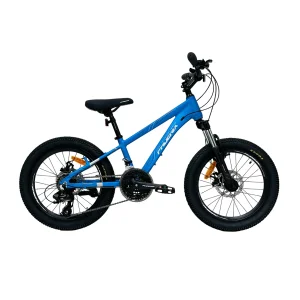دوچرخه کوهستان فونیکس سایز 20 مدل 24 دنده دیسکی SPINAS
