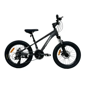 دوچرخه کوهستان فونیکس سایز 20 مدل 24 دنده دیسکی SPINAS