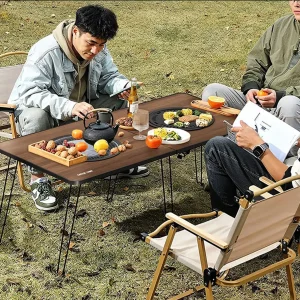 میز کباب‌ پز تاشوی سفری گرین لاین مدل GL-BBQ2