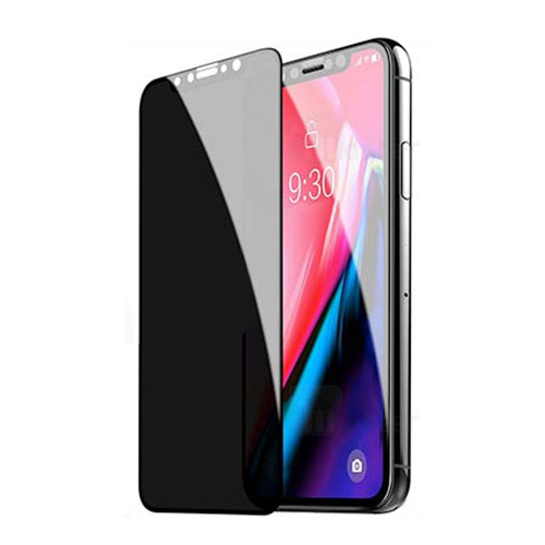 Apple IPhone X / XS Privacy Mocoll Glass