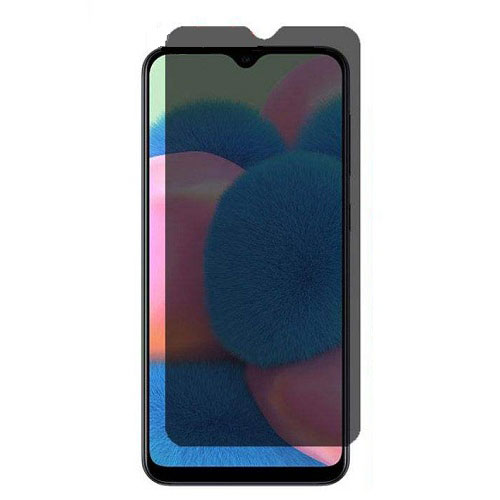 Samsung Galaxy A20s Privacy Mocoll Glass