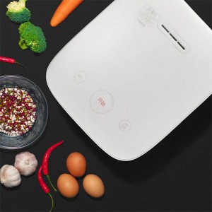 Xiaomi Mijia 2 Rice Cooker