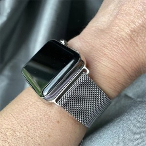 Apple Watch Series 5 44mm Stainless Steel Case with Milanese Loop