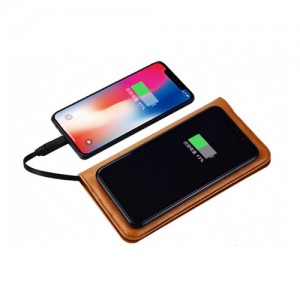 Zhuse ZS-PB-025 Star River 3 Series 6000mAh Power Bank And Leather Bag