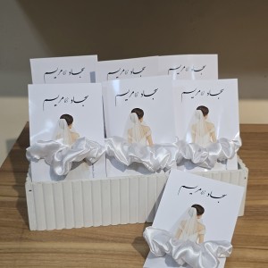 گیفت کش اسکرانچی ساتن