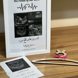 قاب سونو گرافی سایز a4