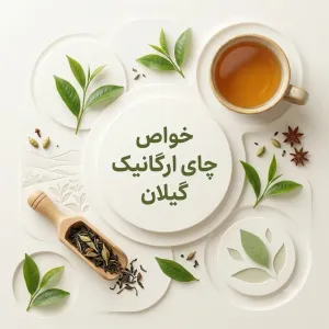 خواص چای ارگانیک گیلان؛ ۱۵ فایده شگفت‌انگیز که باید بدانید