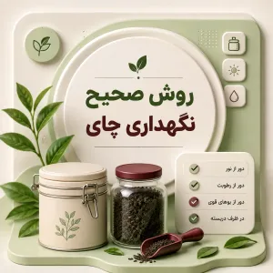 روش صحیح نگهداری چای؛ چگونه عطر و طعم چای را برای مدت طولانی حفظ کنیم؟
