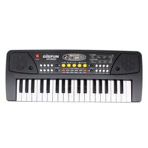 ارگ ۳۷ کلید