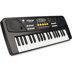 ارگ ۳۷ کلید