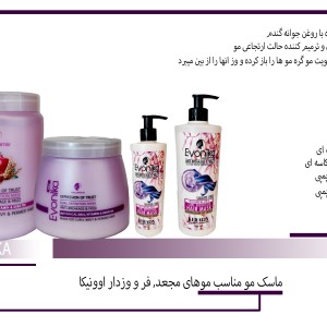 ماسک مو اوونیکا (Evonia) مدل Anti Frizz حجم 500 میلی لیتر