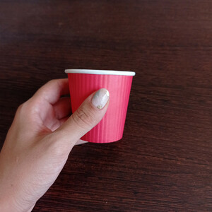 لیوان یکبار مصرف مدل دوجداره 120 بسته 25 عددی