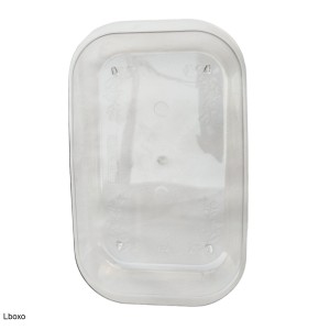 دیس طرح پیرکس یکبارمصرف 33*21 سانتیمتر بسته 2 عددی