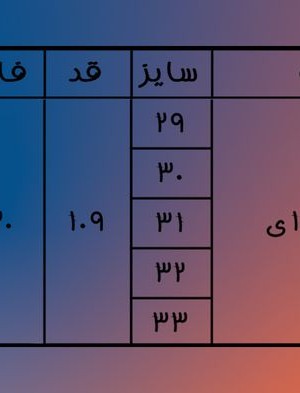 نیم بگ قهوه ای
