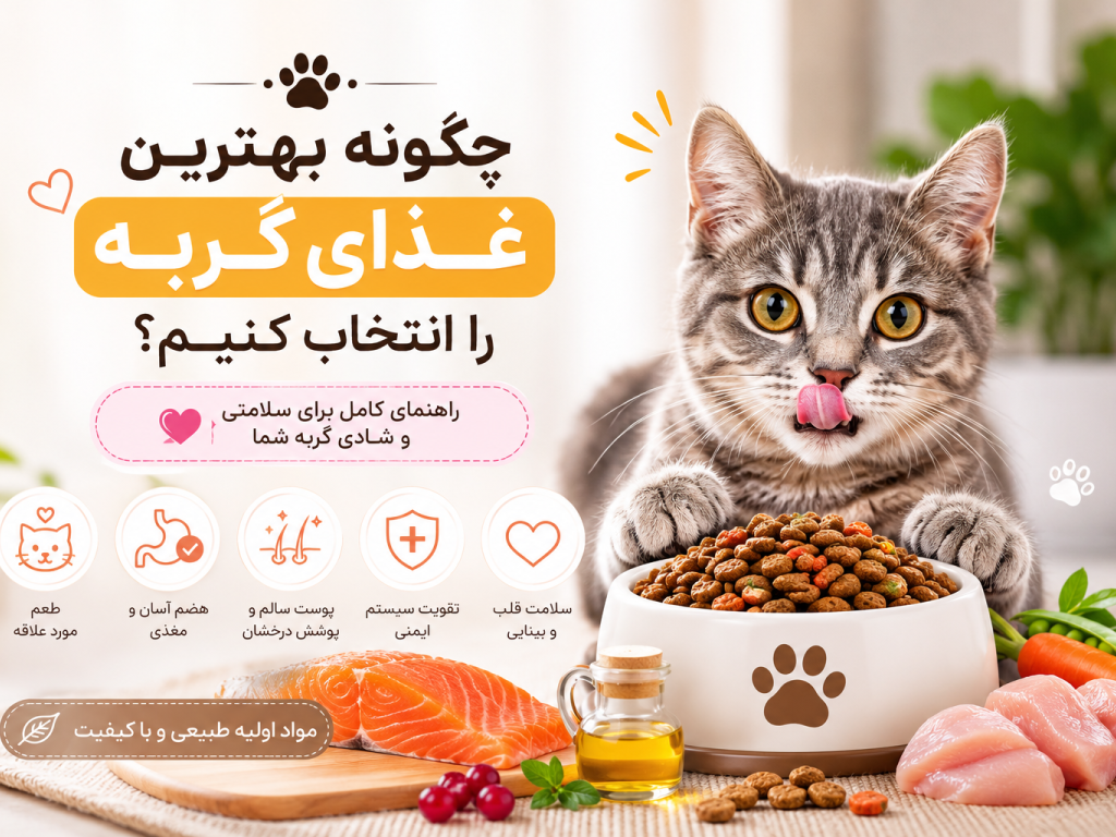 راهنمای انتخاب غذای گربه