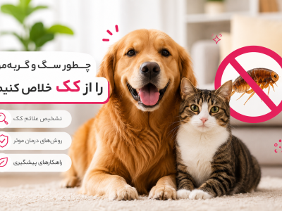 کنترل کک و کنه در حیوانات خانگی