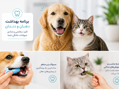 برنامه بهداشت دهان و دندان حیوانات خانگی