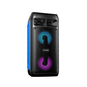 اسپیکر بلوتوثی قابل حمل کاکوسیگا Kakusiga KSC-671 همراه میکروفون و ریموت