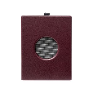 اکو همراه اکوچنگ مدل ALTO