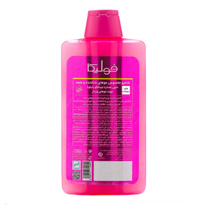 شامپو فاقد سولفات فولیکا مدل Ginkgo B5E حاوی جینکگو بایلوبا مناسب موهای وزدار و شکننده حجم ۴۰۰ میل