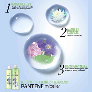 شامپو سم‌زدای سر پنتن مدل Micellar Detox &amp;amp; Moisturize آبرسان و با عصاره نیلوفر آبی حجم ۵۳۰ میل