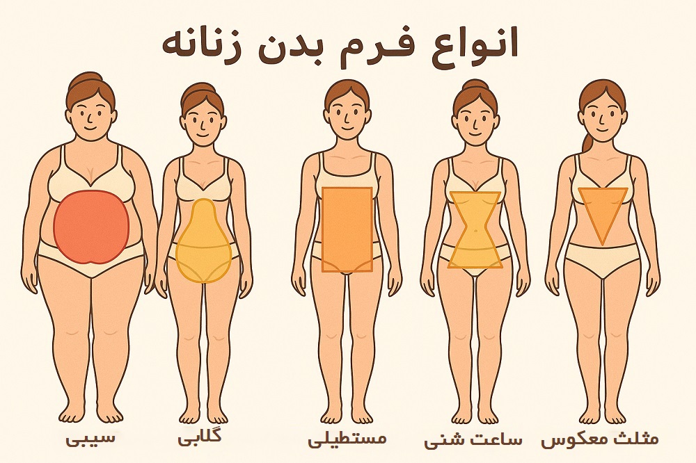 انواع فرم بدن زنانه