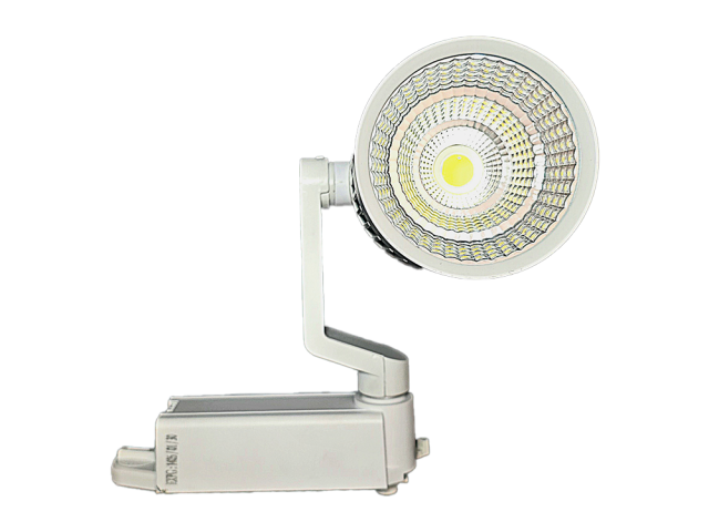 چراغ ریلی 5۰ وات طرح مگنت پارسوآ مدل درنا