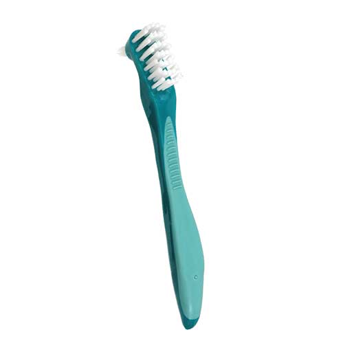 Denture Brush