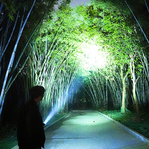 چراغ قوه و قوص الکتریکی اسمایلینگ شارک SD-5206