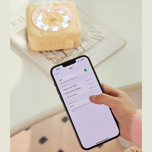 خرید اسپیکر وایرلس و چراغ خواب با طرح پنیر