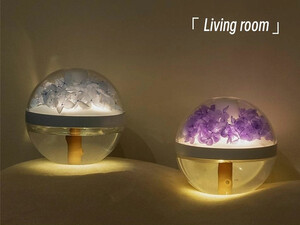 دستگاه مرطوب کننده، خوشبوکننده هوا و چراغ خواب رانمِی Runmei LLD-J225 eternal flower humidifier