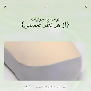 بالش ماساژ مناسب ناحیه گردن FAISAL FS-N03